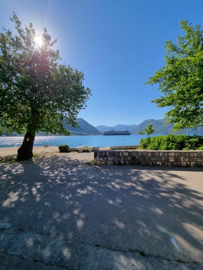 Apartment On The Shore Of The Bay Of Kotor With Free Wi-Fi Bagian luar foto