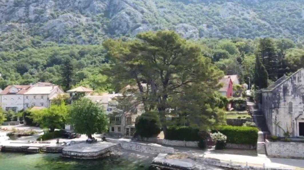 Apartment On The Shore Of The Bay Of Kotor With Free Wi-Fi Bagian luar foto